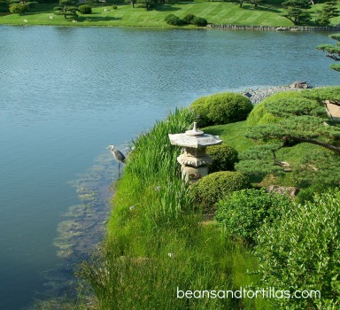 japanese garden