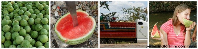 Watermelon Collage